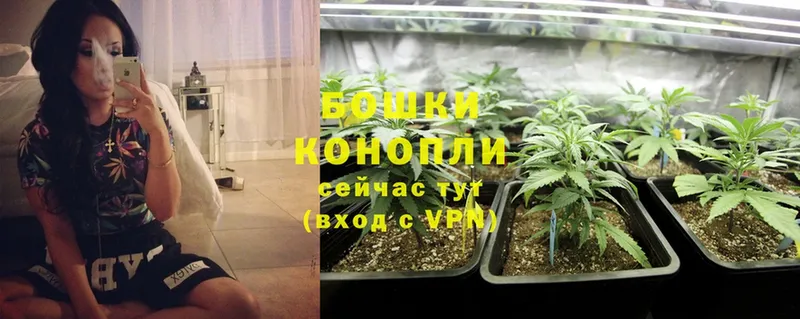 Конопля OG Kush  omg онион  Курган 